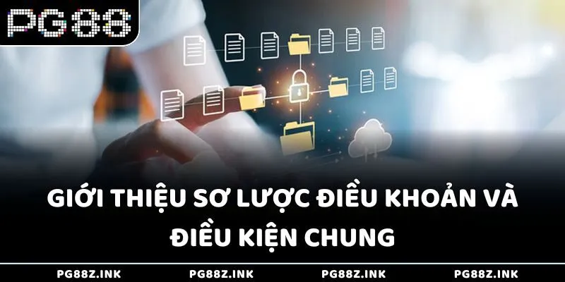 Giới thiệu sơ lược điều khoản và điều kiện chung